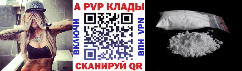 A PVP СК  Алейск 