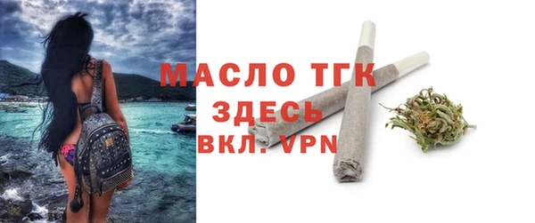 индика Гатчина