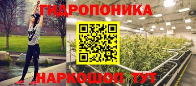 индика Абакан