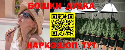 индика Абакан