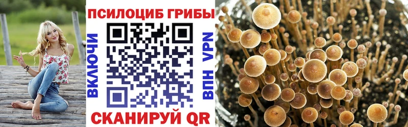 Псилоцибиновые грибы Magic Shrooms Алейск
