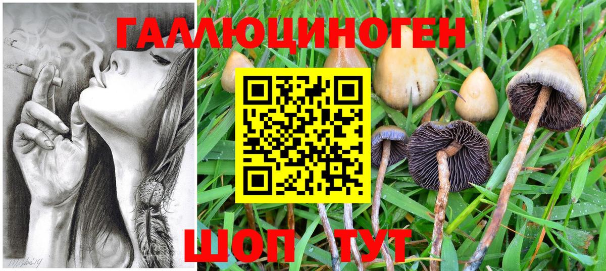 Алейск  Галлюциногенные грибы Cubensis  Галлюциногенные грибы ЛСД  Вход с VPN 